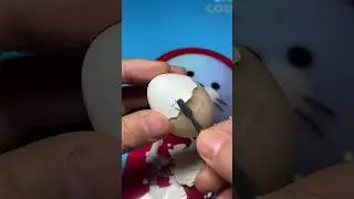 기네스북 도전 | 알