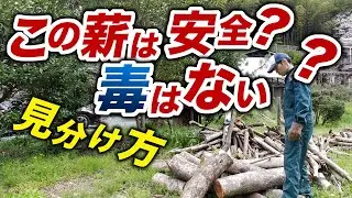 この木なんの木？【樹種】を見分けて安全な薪を作ろう！