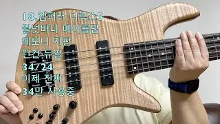 나의 포데라 히스토리 2/History of my Fodera basses pt.2