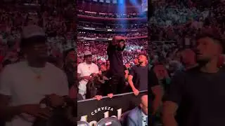 The reaction at MSG after Pereira knocked out Adesanya #UFC281