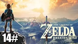 BREATH OF THE WILD - Frio, Dolor y Kologs (14)