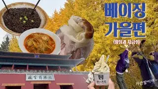투영인촤이나🇨🇳ep.11 | 베이징 가을편 (feat. 왕징&자금성 그리고 에겐남)