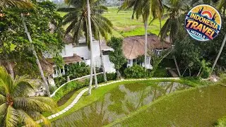 Fall in Love with Rose Moon | Bali, Indonesia | Hotel Review 🌟