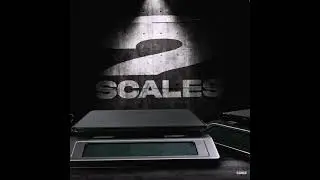 Flyboy Chris - 2 scales
