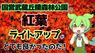 【ずんだもん】国営武蔵丘陵森林公園の紅葉ライトアップがとても良かったのだ！〔25/11/23〕
