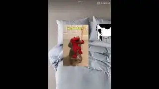 80hd