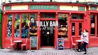 Digital Marketing Project: International Students in Carlow, Ireland.