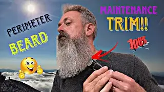 Perimeter Maintenance Beard Trim!!
