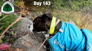 Day 163 | Picking up our pace | Appalachian Trail 2024