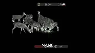 Охотничьи видео с тепловизионных прицелов IWT
