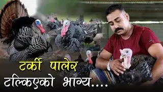 टर्की पालेर भाग्य टल्काउँदै युवा || Turkey Farming in Nepal | Bhisoda Krishi Farm Jhapa | Wave Nepal