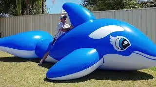 Jumbo 5m Inflatable Whale Ride