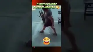 Perdio Su Dignidad 2 Veces El Mismo Dia 🤣 #humor #youtubeshorts #comedy #memes #funny #viralvideo
