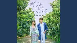 梦之森林