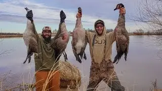 Handful Of Decoys and a 2 Man Limit of Honkers!!