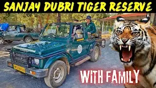 Sanjay Dubri Tiger Reserve with Family | Sanjay Dubri complete guide | Budget Hotel | Safari Booking