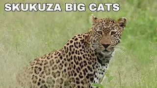Kruger National Park - 3 Days at Skukuza
