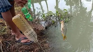 Best Hook Fish Trap | Catch Fish With Plastic Bottle Fish Trap | Fishing Tube