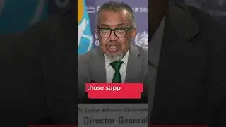 World must act with urgency to save Palestinians in Gaza