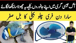 Portable Fan For Birds Cage||Solar Fan System|Mini Fan Portable Rechargeable  Cooler Usb Az Electric