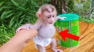 Little Rika's Big Mystery: Why Is Her Belly So Full Without Milk?