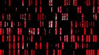 Kai Khachatryan x ANY - AV Project II