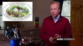 Mark Koebrich Shout Out