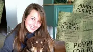 'Puppies for Rent': Helpful or Harmful?