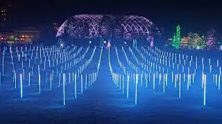 Denver Botanic Gardens Blossom of Lights