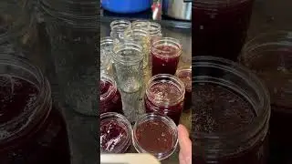 How to make Blueberry Jam - Dr. Cindy's Recipes