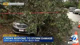 Massive tree falls on Honda in Ventura County