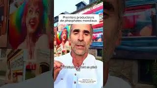Chocolat cadmium et m&eacute;taux lourds