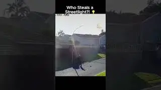Streetlight Thief Caught on CCTV #cctv #thief #streetlight #streettheft #thieffails #crimeshorts