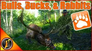 Big Bucks, Bulls, & Rabbits From a Ground Blind in theHunter Classic!