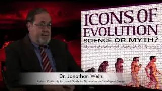 Biologist Jonathan Wells Breaks Down The Miller Urey Experiment