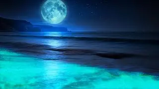 Night Ocean for Deep Sleep [Blue Moon · Slow Waves · Calm Mind]
