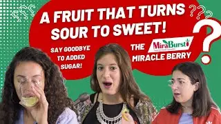 Miracle Berry Taste Test | The Only Fruit that Turns Tart or Sour to Sweet | MiraBurst&reg;