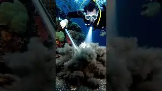 Catching at Ocean Floor...! Hidden Wonders of the Ocean Floor 🐟🦀🦞🐋🎥 #fishing #oceanbottom #fish