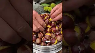 Chestnuts: The Nut That Acts Like a Grain!