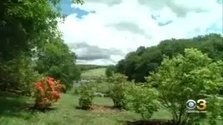 Delaware's Winterthur Named One Of Most Romantic Gardens In Country