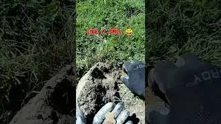 Quarter Spill ! #metaldetecting  #detectingfinds #treasure #coin #detecting