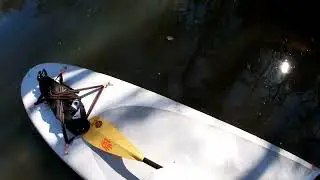 Exploring A River On The Bic Dura-Tec SUP