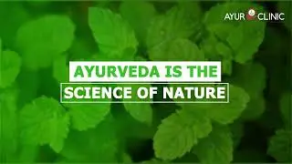 Ayurveda Melbourne | Naturopath Melbourne