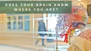 Does your brain know where you are? | Is your brain-body balance causing pain?