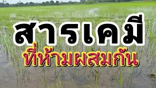ฟิโพลนิล ห้ามผสม 