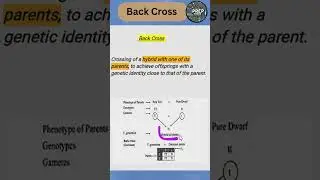 #Back Cross #quickrevision #biologyclass12 #2025boardexam #prepbiology