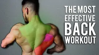 The Most EFFECTIVE BACK Workout (Hit EVERY Muscle Group)