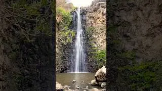 Jelabun Waterfall is especially beautiful during the rainy season #israelwalking #israel