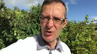 Day 310 - Break YOUR OWN RECORDS!