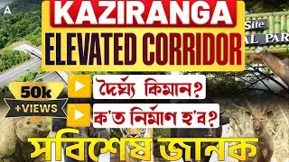Kaziranga Elevated Corridor | Total length, Construction process, impact on buisness